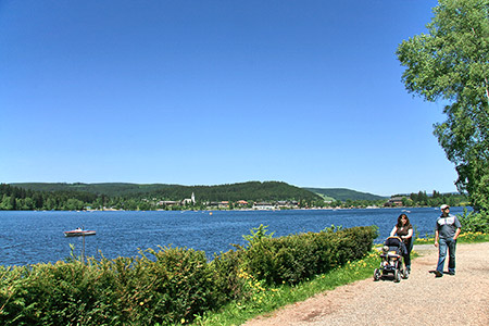 Der Titisee