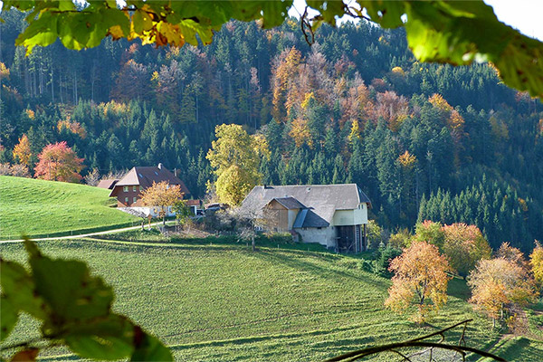 Der Holzschlägerhof in sehr ruhiger Lage