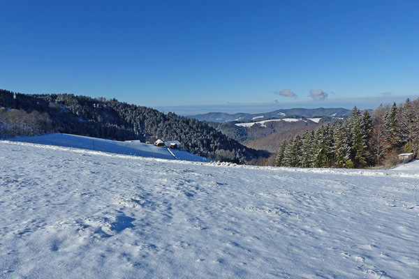 Winter auf dem Holzschlägerhof