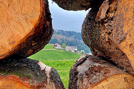 Ausblick auf unseren Hof