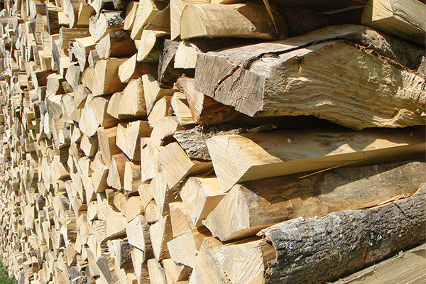 Brennholz frisch oder getrocknet in 1 m Länge zugesägt