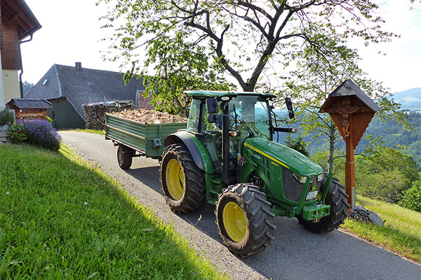 Brennholz Lieferung möglich in der Region